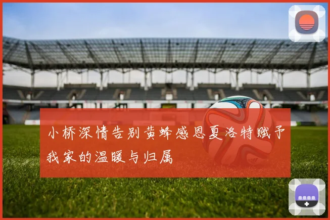 小桥深情告别黄蜂感恩夏洛特赋予我家的温暖与归属